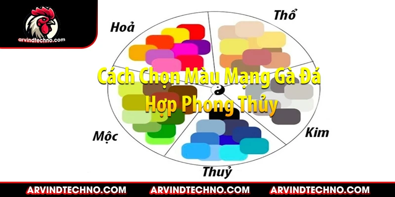 Màu Mạng Gà Đá: Bí Quyết Chọn Màu Gà Chiến Thắng 2 Cách Chọn Màu Mạng Gà Đá Hợp Phong Thủy