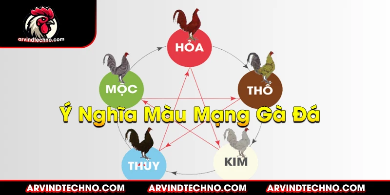 Màu Mạng Gà Đá: Bí Quyết Chọn Màu Gà Chiến Thắng 1 Ý Nghĩa Màu Mạng Gà Đá Trong Văn Hóa Dân Gian