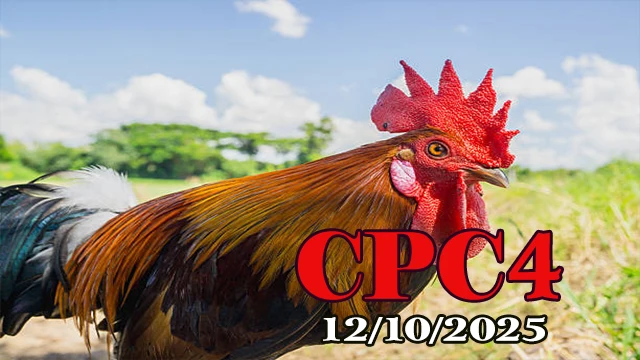 Phát Lại Đá Gà C4 Hôm Nay 12/10/2025